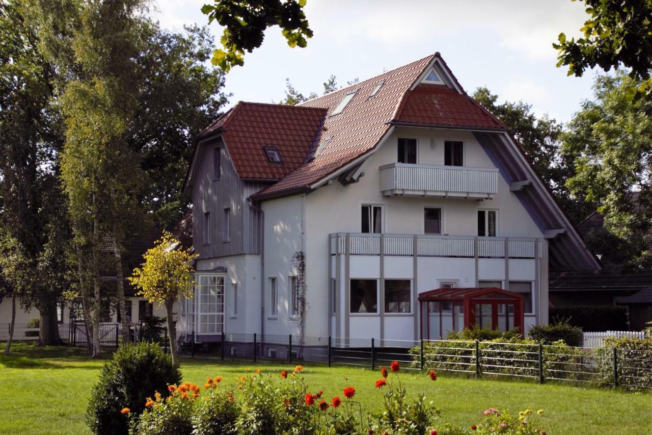 Darsskrabbe *